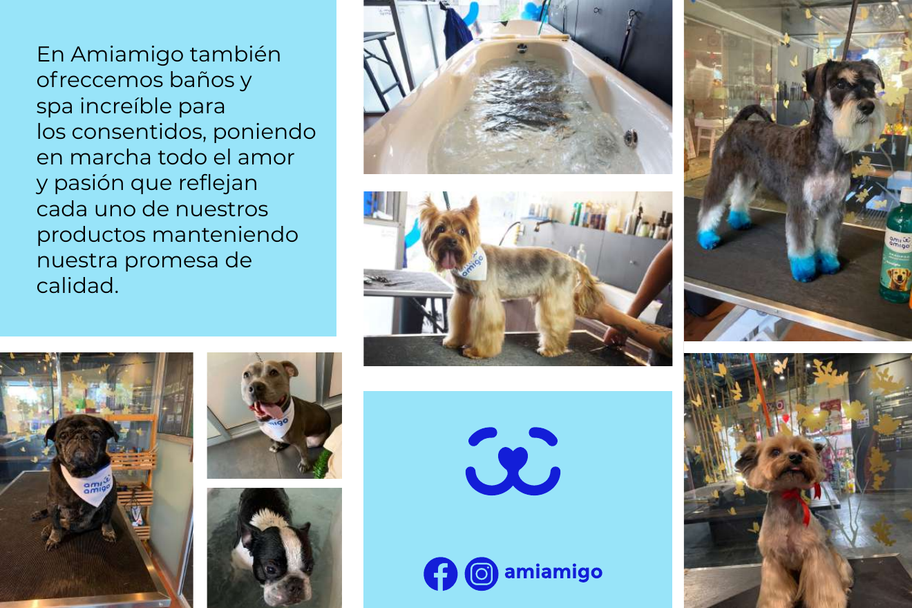 Servicios de baño y cuidado para mascotas de Amiamigo